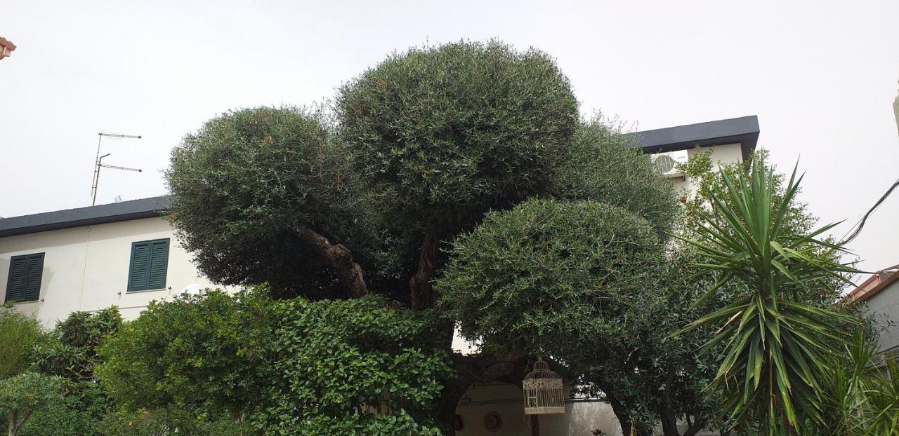 Il Vecchio Ginepro Bed and Breakfast Capoterra Εξωτερικό φωτογραφία