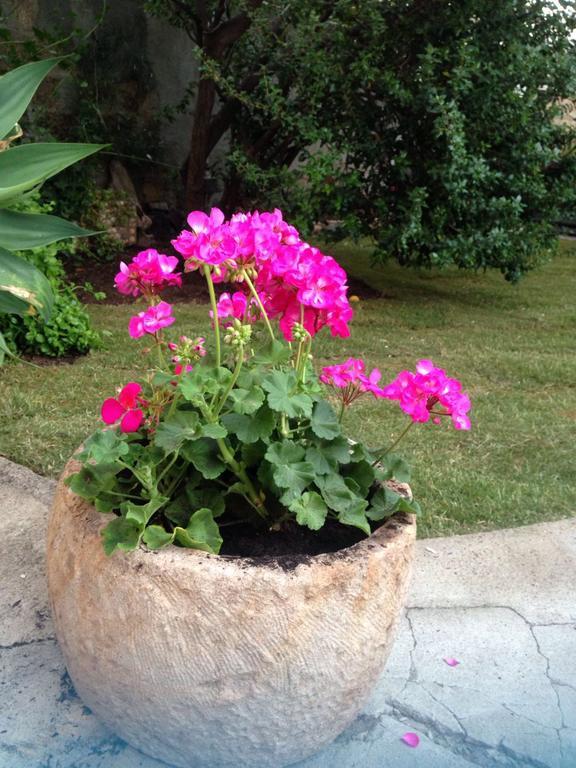 Il Vecchio Ginepro Bed and Breakfast Capoterra Εξωτερικό φωτογραφία